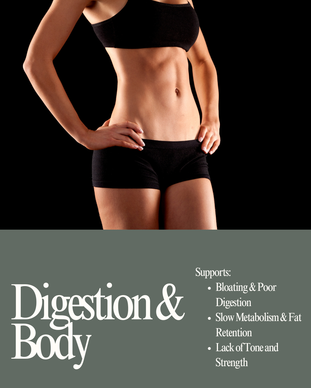Digestion and Body Support*