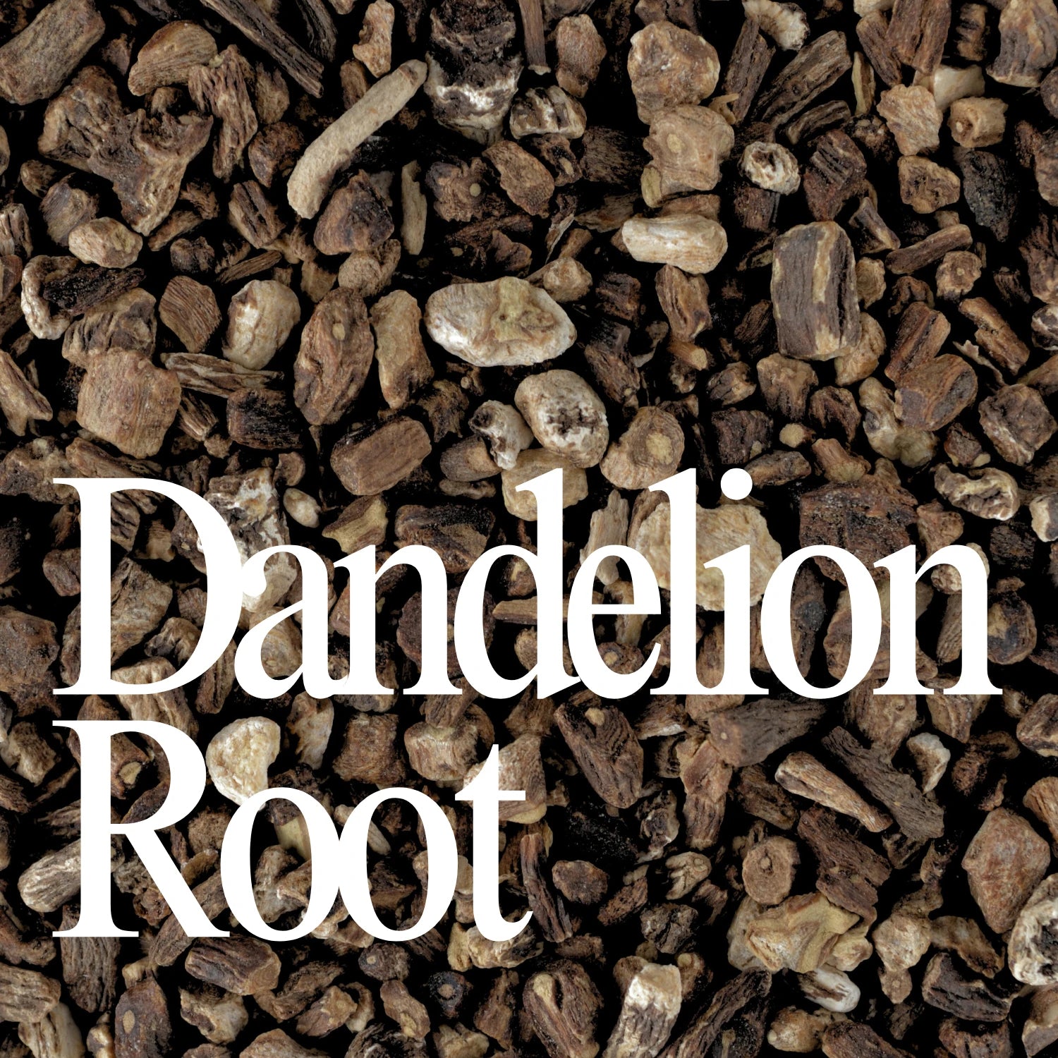 Dandelion Root