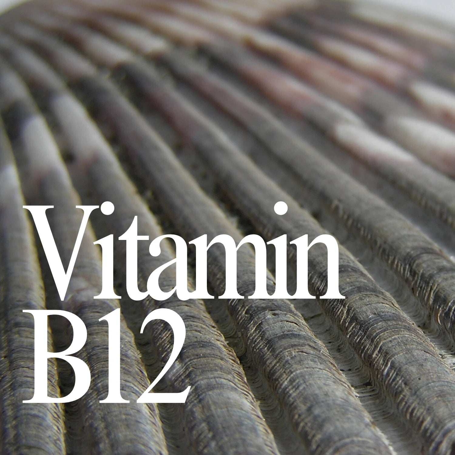 Vitamin B12