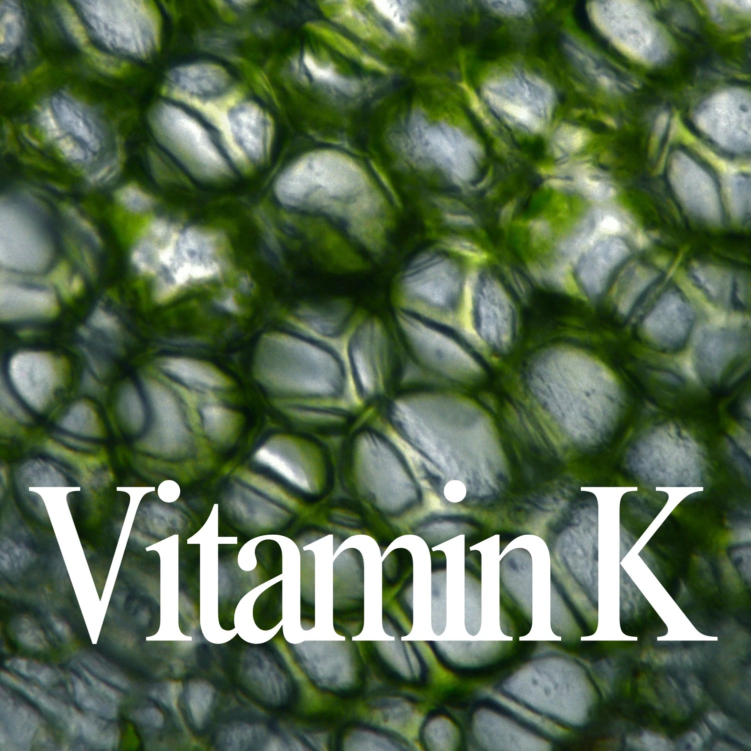 Vitamin K