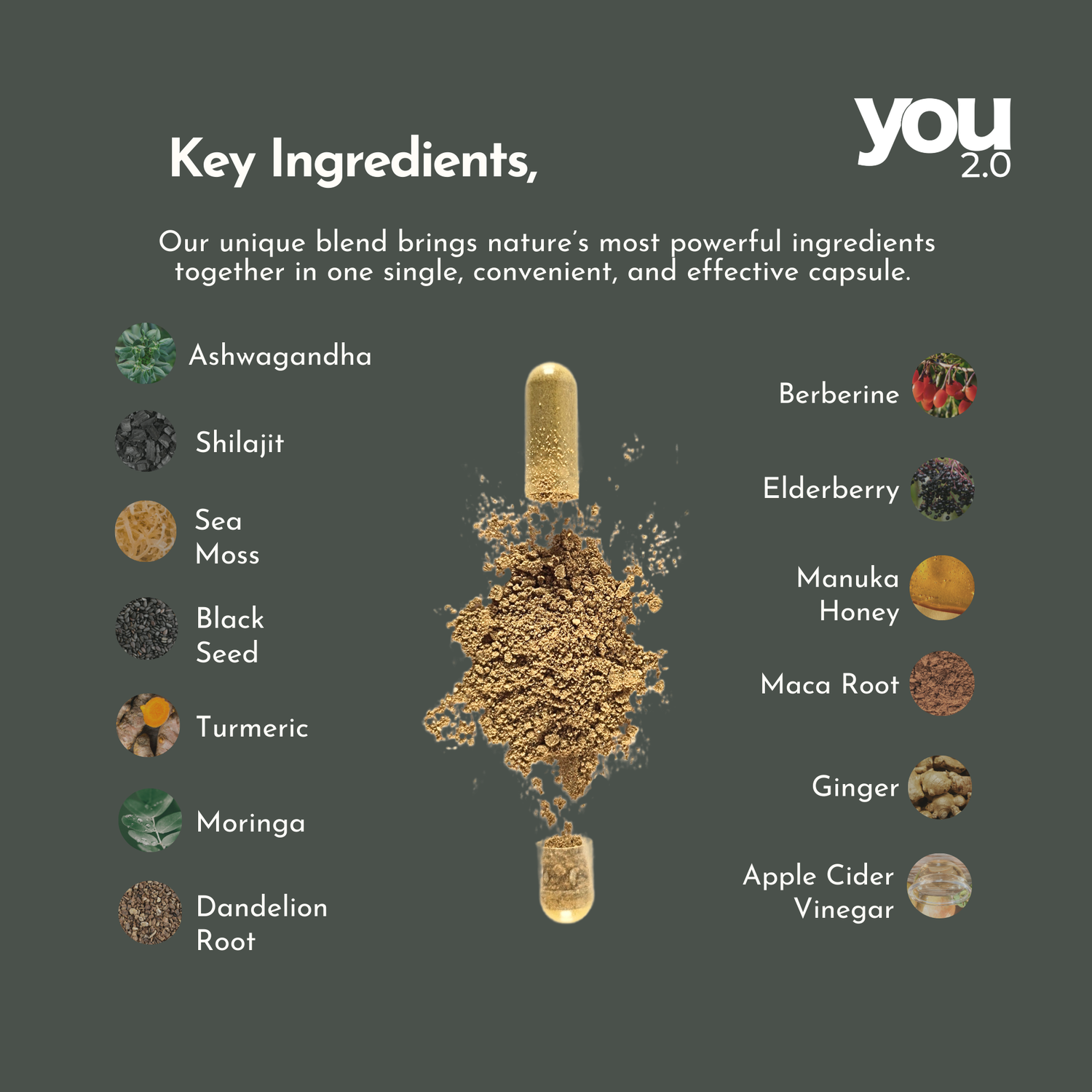 You2.0 Sea Moss Capsules Nutrient Rich Superfood with Shilajit, Ashwagandha Black Seed Turmeric Vitamin C, D, B12 Made in USA for Overall Health & Immunity Support, 90 Ct