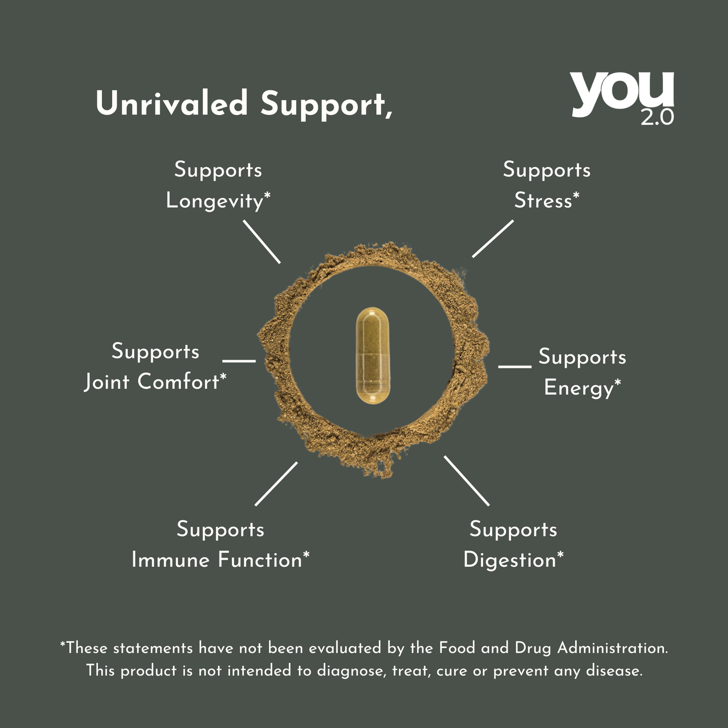 You2.0 Sea Moss Capsules Nutrient Rich Superfood with Shilajit, Ashwagandha Black Seed Turmeric Vitamin C, D, B12 Made in USA for Overall Health & Immunity Support, 90 Ct